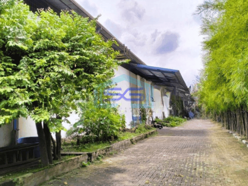 Disewakan Gudang Luas Bangunan  2500 m² di Periuk Tangerang