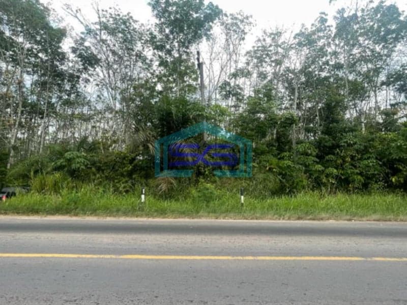 Dijual Tanah Lintas Sumatera Selatan Luas 90 HA di Kawasan Berkembang