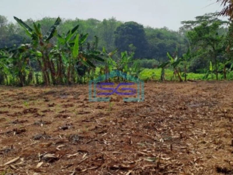 Dijual Tanah di Daerah Cibodas Rumpin Bogor Luas 1000m2