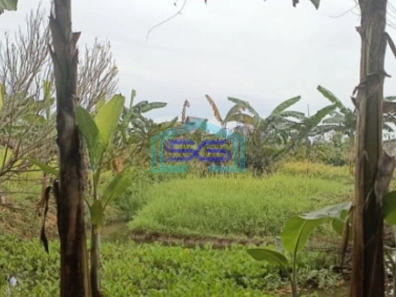 Dijual Tanah Kavling Siap Bangun Lokasi di Bogor Luas Tanah 9335m2