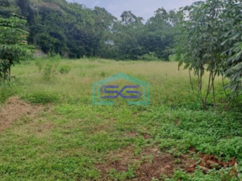 Dijual Tanah Di Cipinang Rumpin Bogor Jawa Barat Luas 15000m2