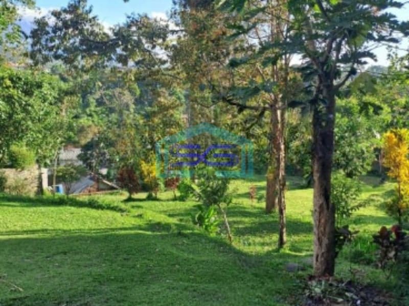 Dijual Tanah Plus Bangunan di Desa Cipayung Megamendung Bogor LT 3000m2