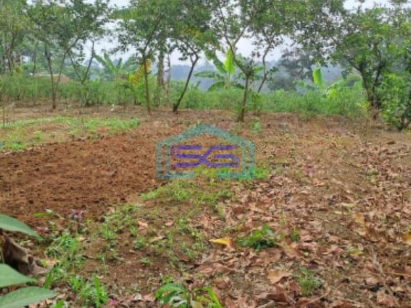 Dijual Tanah Lokasi di Caringin Bogor Luas Tanah 2500m2