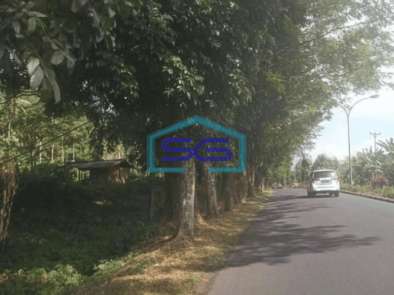 Dijual Tanah 1,7h di Minahasa Utara Cocok buat Gudang dan Ekspedisi