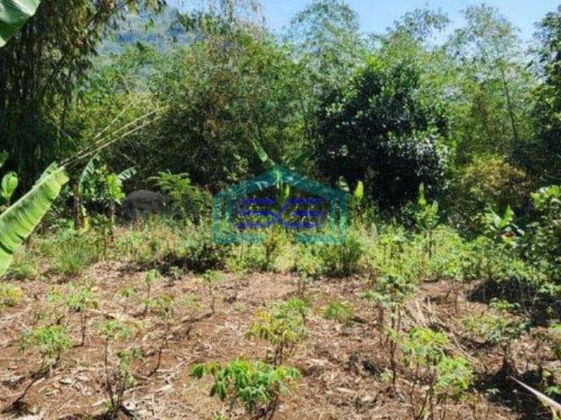Dijual Tanah Zona Abu Industri Bisa Akses Kontainer 40 Feet di Sayap Cipatik Bandung LT 3155m2