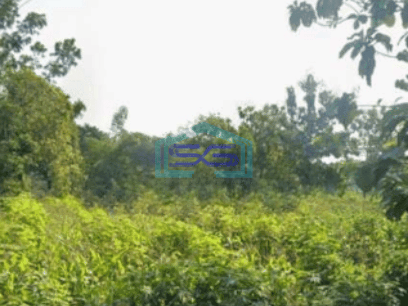 Dijual Tanah lahan lokasi Gemolong Sragen luas 4000m2
