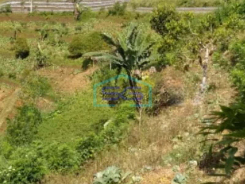 Super Cheap Land for Sale in Bangli Bali Land Size 10000sqm