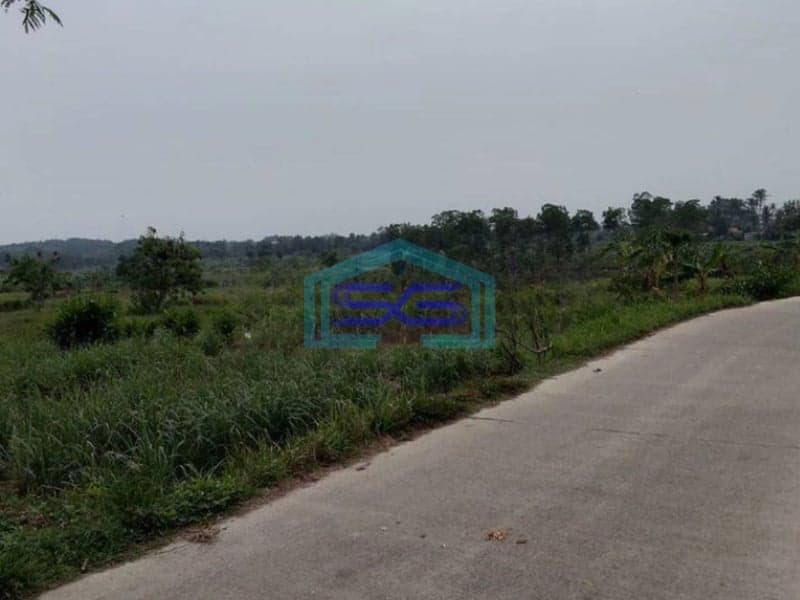 Dijual Tanah di Desa Cileles kecamatan Tigaraksa Tangerang Luas 70 Hektar
