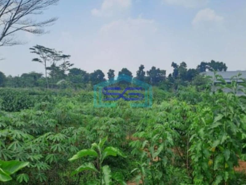 Dijual Tanah di Babakan Madang Sentul City Bogor Luas Tanah 16000m2