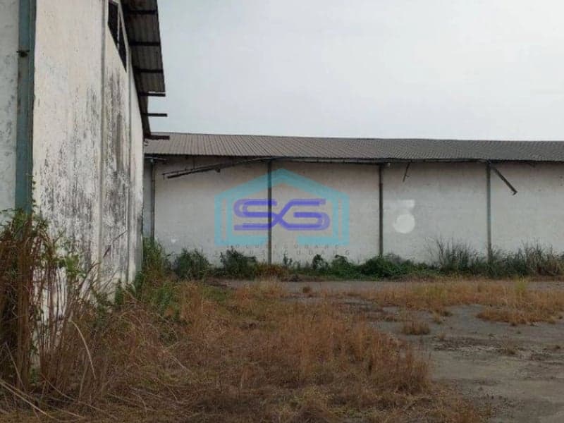 Dijual Cepat Gudang Pabrik Lokasi Premium Krikilan Driyorejo Gresik LB 34000m2