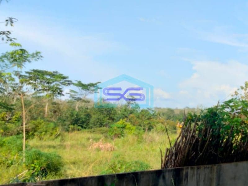 Dijual Tanah Murah Jalan Gandus Talang Buluh Banyuasin Sumatera Selatan LT 14000m2