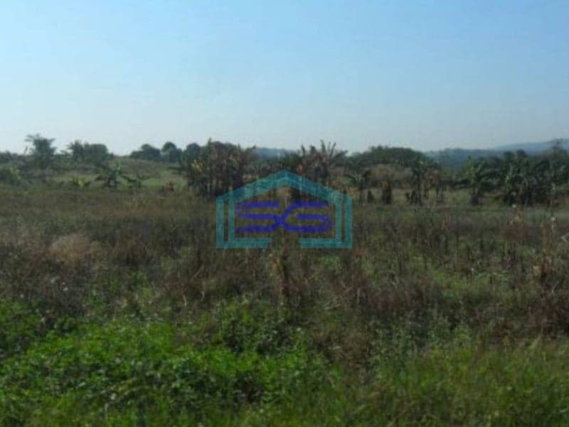 Dijual Tanah Di Desa Nolokerto Kaliwungu Kendal Sangat Strategis Dipinggir Tol Semaranga LT 1165911