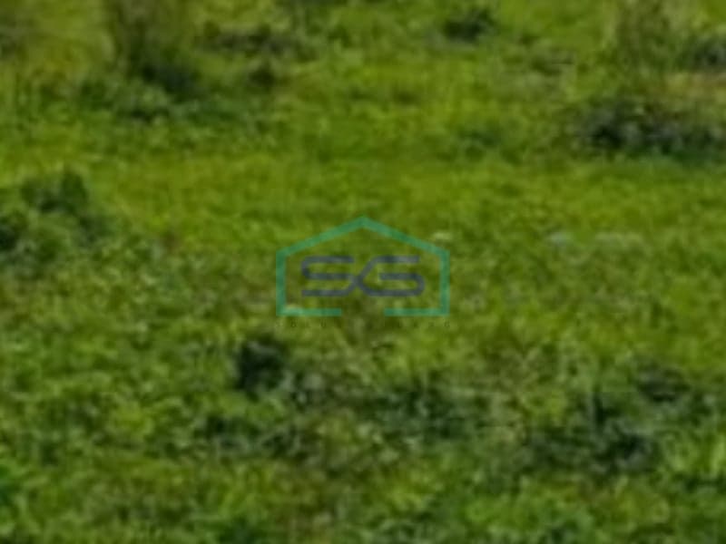 Dijual Tanah Lokasi Di Curug Tangerang Banten Luas Tanah 70000m²