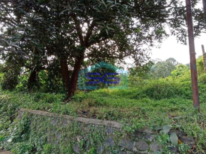 Dijual Tanah Di Batang Deket Kitb Luas Tanah 6980m2