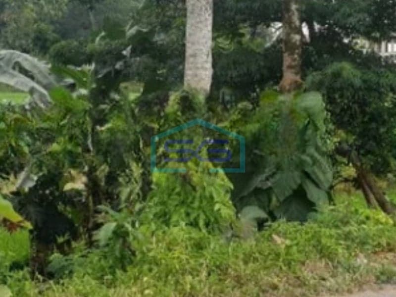 Warehouse for Sale Land Area 2300 m² Location in Karanganyar