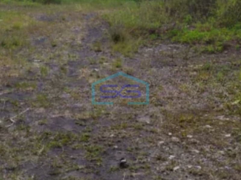 Super Cheap Land for Sale in Ubud Gianyar Bali Land Area 1500sqm
