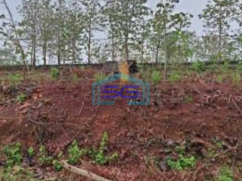 Dijual Tanah Zona Industri Lokasi Pracimantoro Wonogiri Jawa Tengah Luas 131 Ha