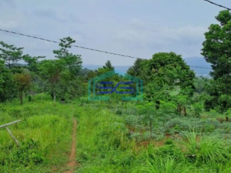 Dijual Tanah Leuwiang Lewisadeng Bogor Luas Tanah 120000m2