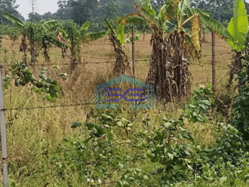 Dijual Tanah Di Kertajati Bersebelahan Dengan Kavling Gudang Garam dan Salim Group