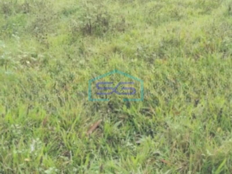 出售潘诺曼 Tangerang 优越地段 4500平方米宽敞土地