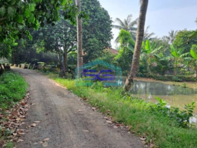 Dijual Tanah di Desa Cibodas Rumpin Bogor Jawa Barat Luas Tanah 3800m2
