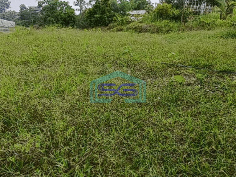 Dijual Tanah Padat Siap Bangun di Talang Betutu, Palembang