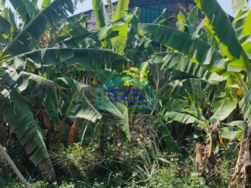 Dijual Tanah Di Sadang Taman Kopo Indah, Bandung Luas Tanah (PxL)  2610 m²