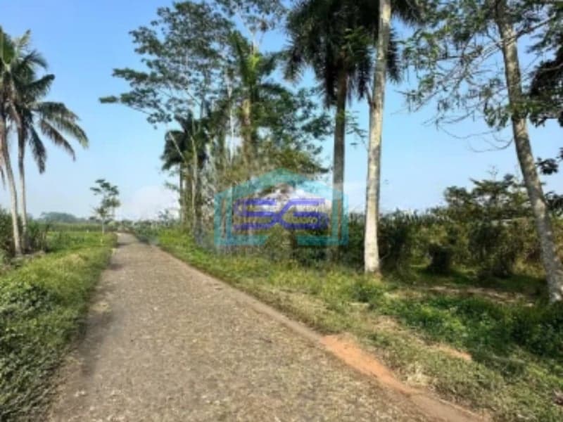 Dijual Tanah Luas 7320m2 SHM Lokasi di Pakisaji Malang