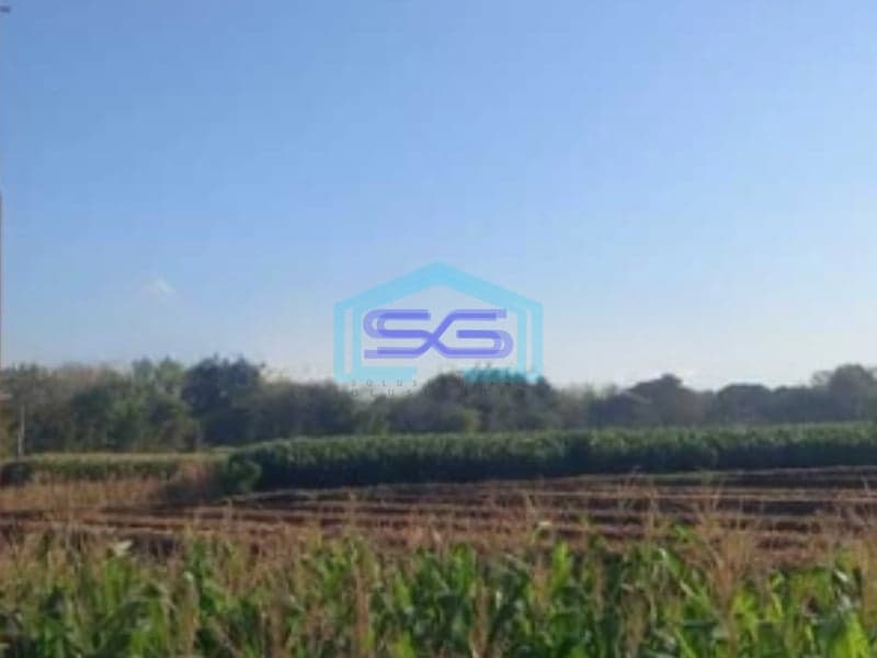 Dijual Tanah Zona Industri Lokasi Sumberlawang Sragen Jawa Tengah Luas 50 Ha