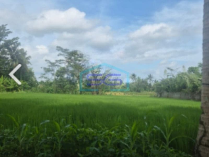 Dijual Tanah Luas 1227m2 Lokasi di Donoharjo, Ngaglik, Sleman Yogyakarta
