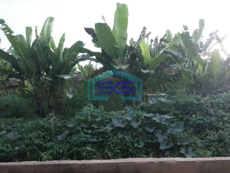 Dijual Tanah di Kutai Kalimantan LT 8000m2 Posisi Strategis