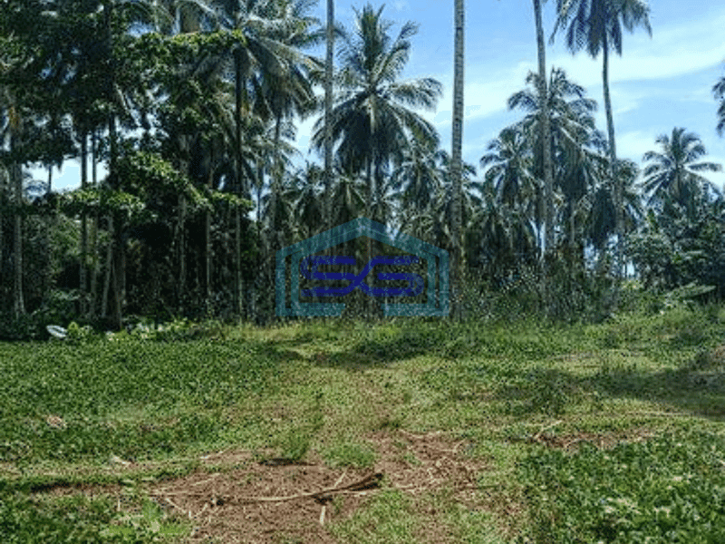Dijual Tanah Luas 8 Ha Di Wori Minahasa Utara Dekat Perempatan Pandu Cocok Buat Investasi