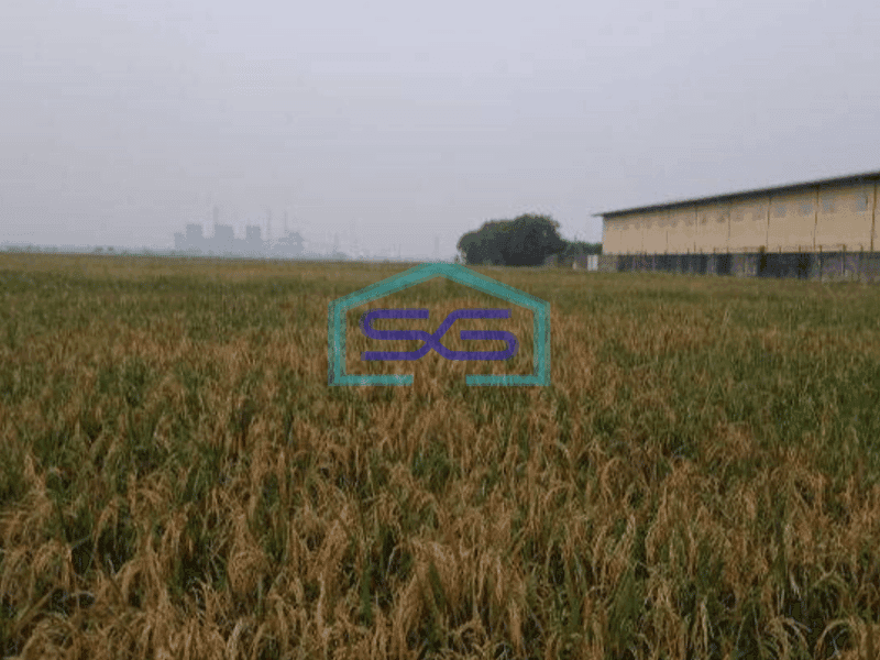Dijual Tanah Komersil Zona Abu Abu Jalan Raya Mauk Tangerang SHM