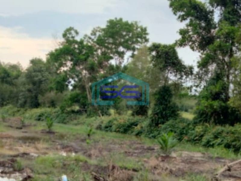 Dijual Tanah Jl Sukamakmur Air Batu Banyuasin Palembang Luas 11 Hektar