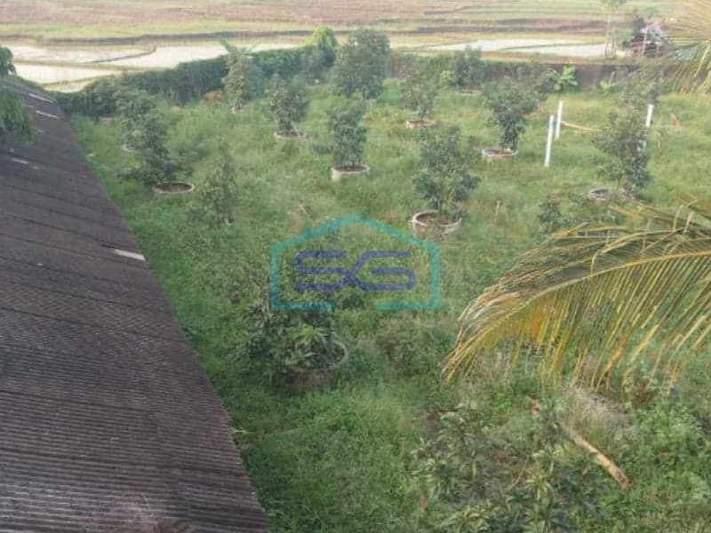 Dijual Lahan Di Bogor Jonggol Jawa Barat Luas Tanah 10300m2