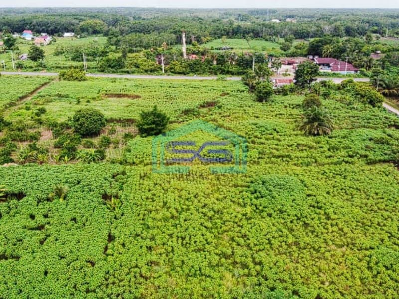 Disewakan Lahan di Tepi Jalan Palembang Prabumulih Luas 360000m2