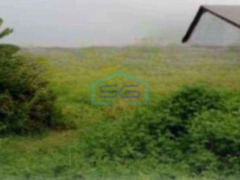 Dijual Tanah Luas 3855 m² Sertifikat SHM Lokasi di Kendal
