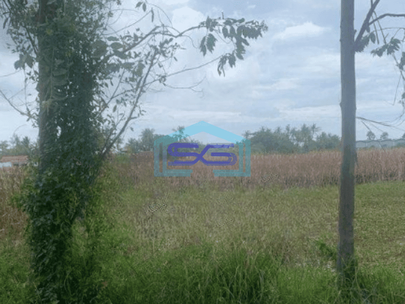 Dijual Tanah Untuk Daerah Industri dan Pergudangan Pakuhaji Tangerang
