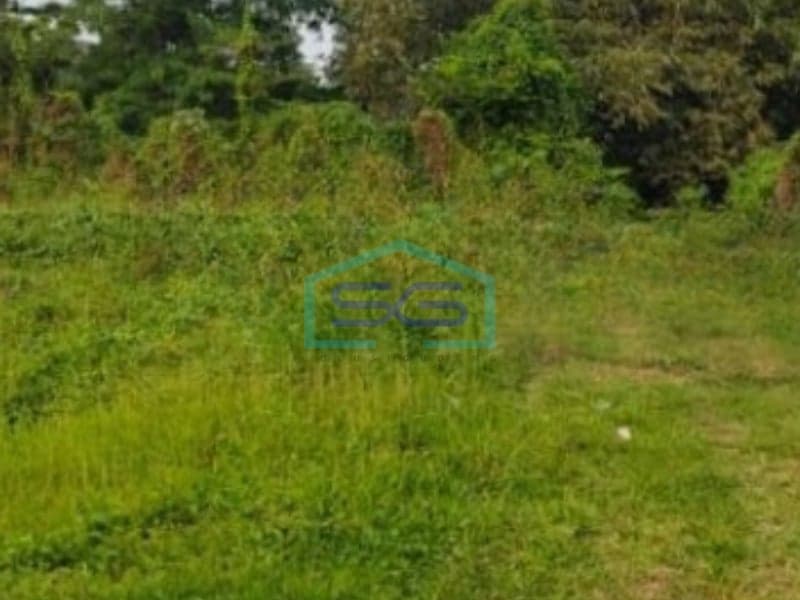 Dijual Tanah Lokasi Bebas Banjir dan Pinggir Jalan Utama Bogor Jawa Barat