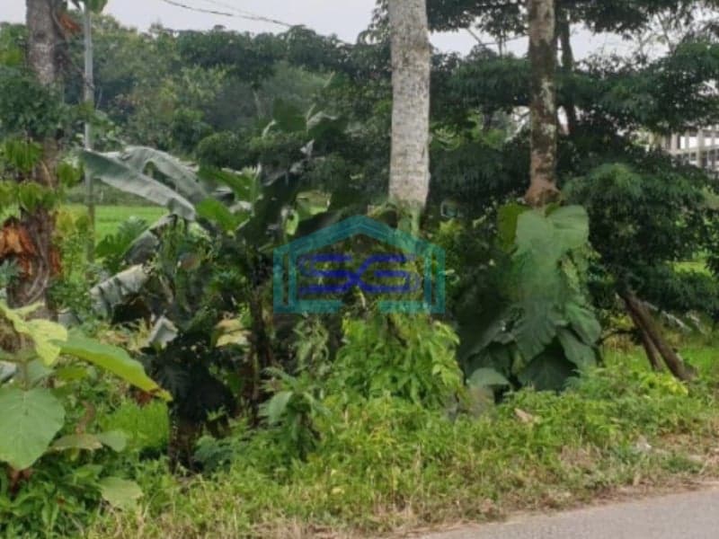 Dijual Tanah Murah di Karangpandan Solo Luas Tanah 2300m2 SHM