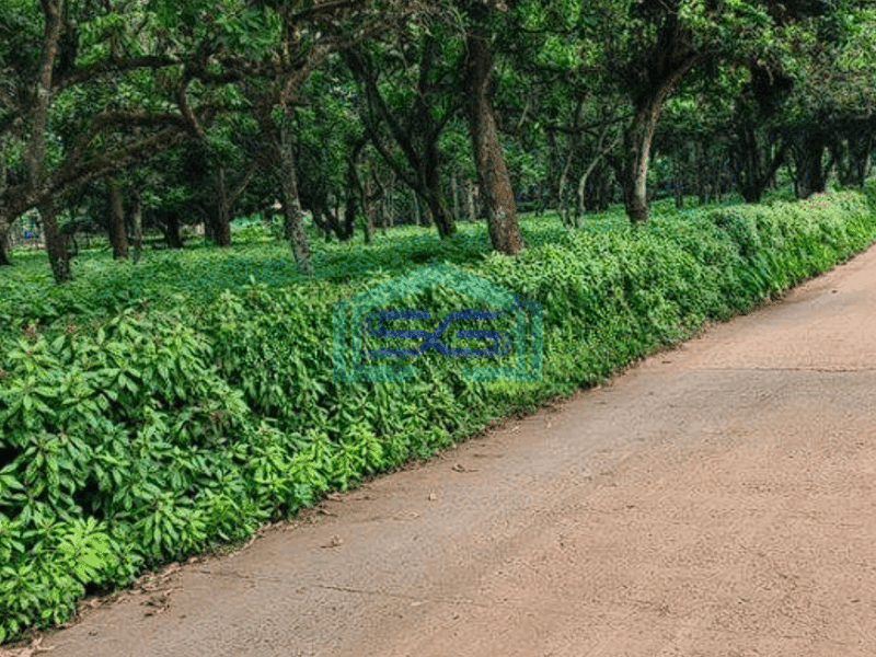 Dijual Tanah Bagus Lokasi Strategis Di Cisauk Tangerang LT 15000m2