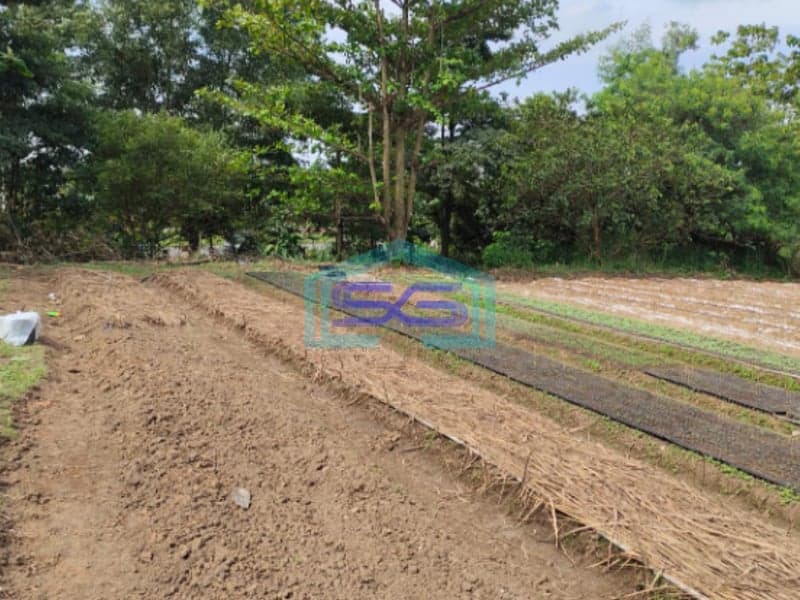 Dijual Tanah Jl. Hm Noerdin Pandji Kec Sako Kota Palembang Luas 21270m2