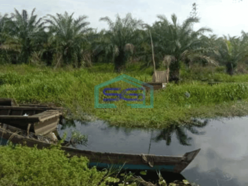 Dijual Tanah Kebun Sawit 550Ha Di Rokan Hilir Riau