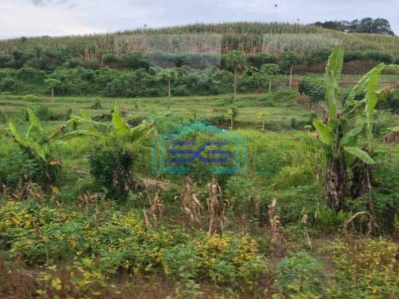 Dijual Tanah Murah Lokasi Elite Hook Setra Duta Bandung Utara LT 1400m2