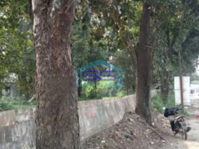 Dijual Tanah Luas 3,2 Ha Di Desa Curug Gunung Sindur Bogor Jawa Barat