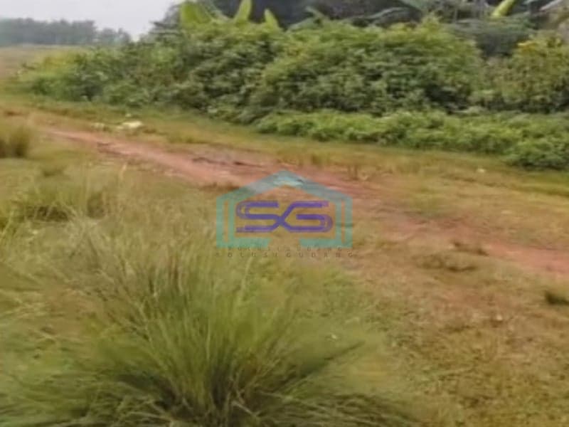 Dijual Tanah Cocok Untuk Investasi Di Tigaraksa Tangerang Luas Tanah  500000 m²