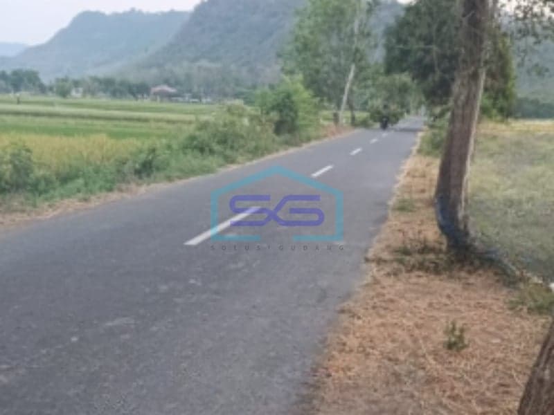 Dijual Tanah Luas 3 Ha di Taji, Klaten, Jawa Tengah
