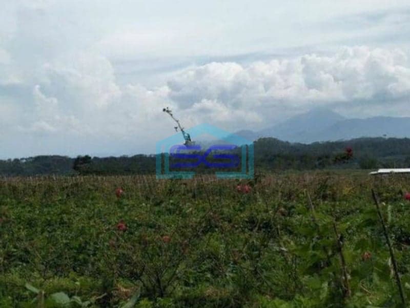 Dijual Tanah Murah di Daerah Bandungan Semarang LT 4000m2