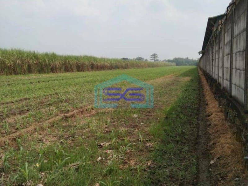 Dijual Tanah Area Komersial Gudang Industri Raya Pacing Mojokerto LT 50000m2