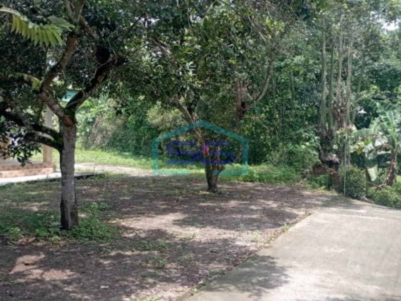 Disewakan Tanah di  Wonokromo, Pleret, Bantul Yogyakarta LT 1216m2